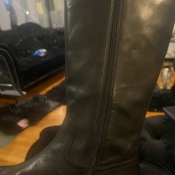 Coach - Picture 10 of 12